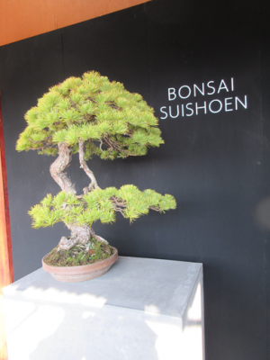 講座会場である盆栽翠松園