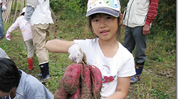 芦屋市翠ヶ丘町の子供たちが稲刈体験！（平成23年10月23日）の画像2