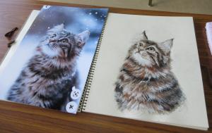 受講生が描いた猫