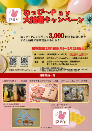 ねっぴ~Pay抽選キャンペーンチラシ