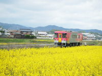 北条鉄道の画像