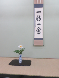 今日のお床、掛軸一期一会、お花は芍薬でした。
