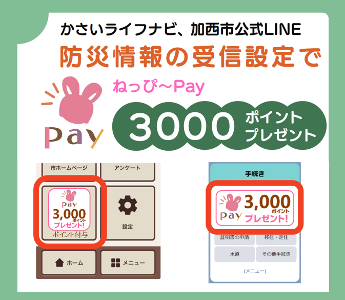 3000ポイントプレゼント