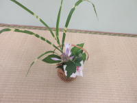 何とも涼しげな今日の生け花