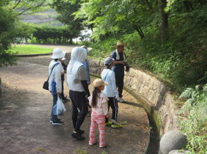 もみじの木の下にもみじの苗木があることを説明する講師