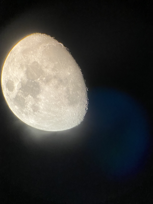 職員のスマートフォンで撮った写真
