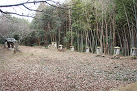 加西市東剣坂町（里山）の画像