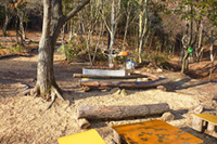 加西市北条町古坂（向山）の画像