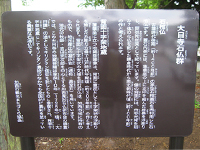 大日寺石仏群の観光案内版の画像