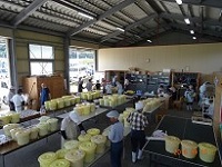 写真：「富田の里味噌」の樽詰め作業