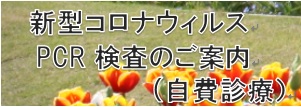 新型コロナウイルス検査のご案内（自費診療）