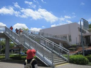 青空の下歩道橋を渡る講座生のみなさん