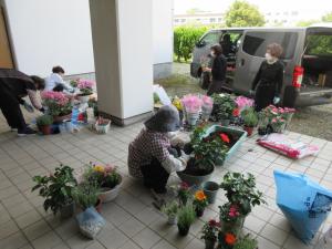 植木鉢に花を植えているグループの皆さん