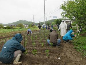 野菜の苗を植えている受講生の皆さん