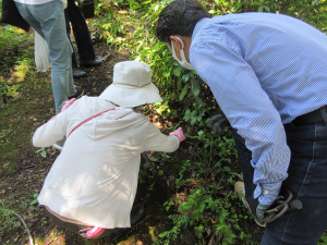 山でもみじの苗をさがす様子