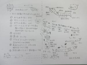 講師手書きの蚕の資料