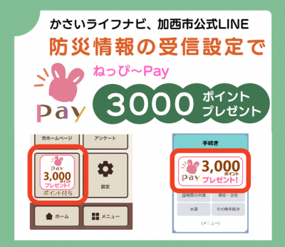 3000ポイントプレゼント