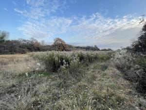 detached 加西市国正町