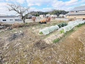 detached 加西市網引町